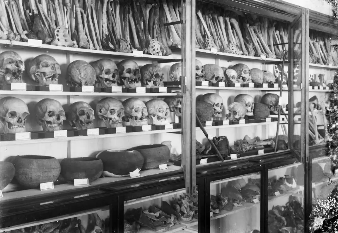 Real Sociedad Cosmológica